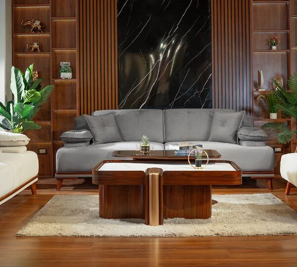 أنترية أشلي